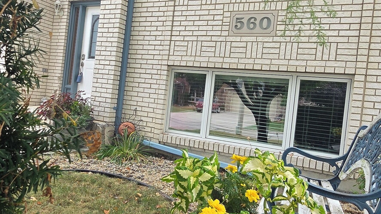 Photo of Outdoor in Tecumseh