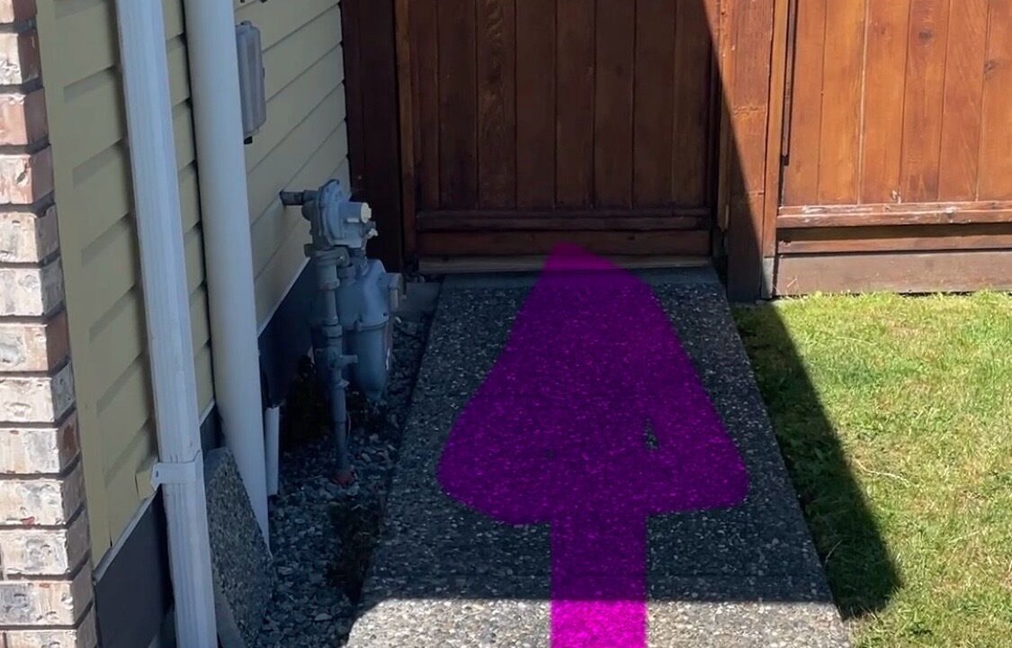 Photo of Outdoor in Maple Ridge
