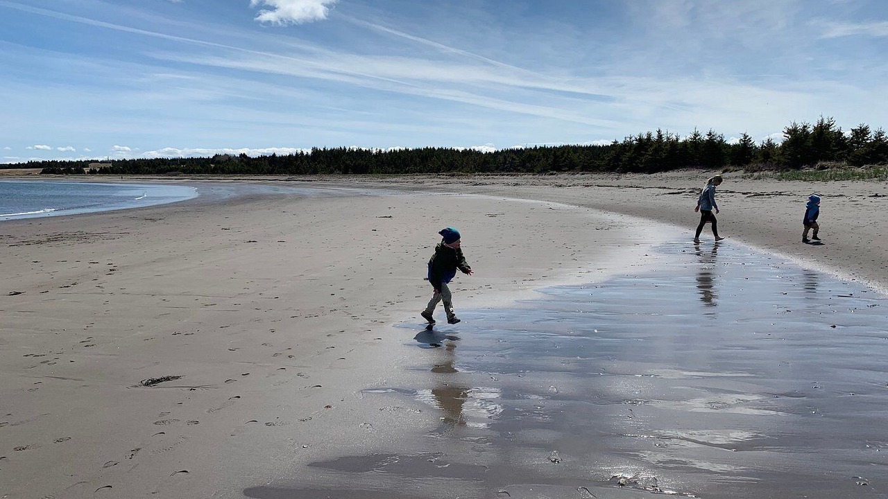 Photo of Others in Arichat