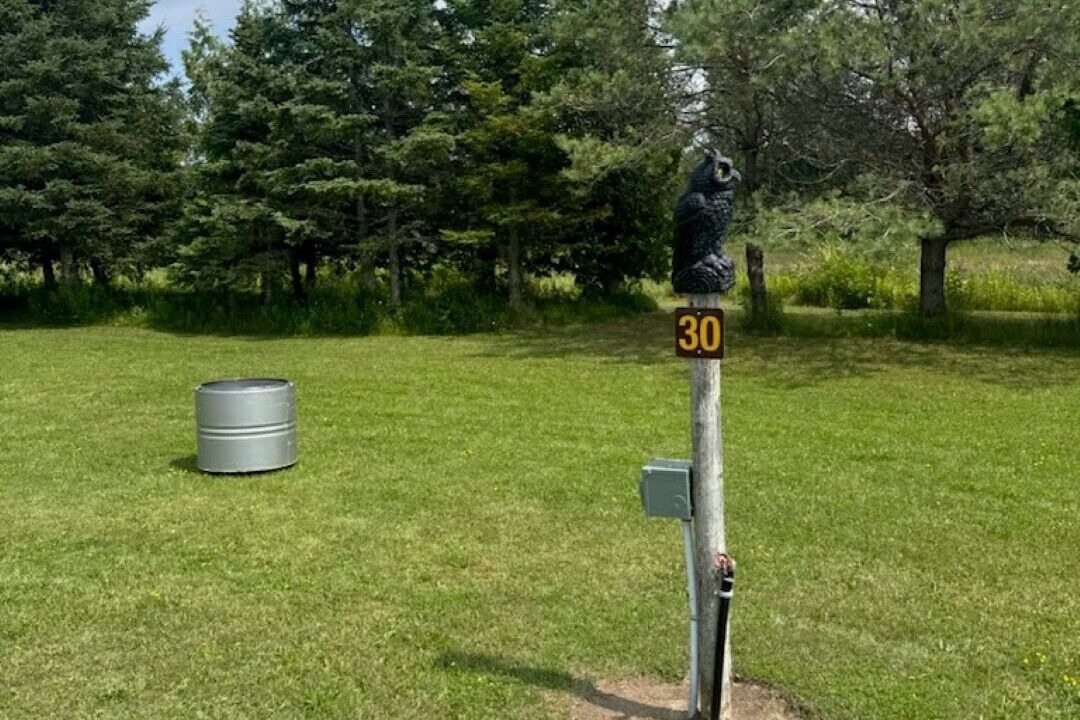 Photo of Outdoor in Stokes Bay