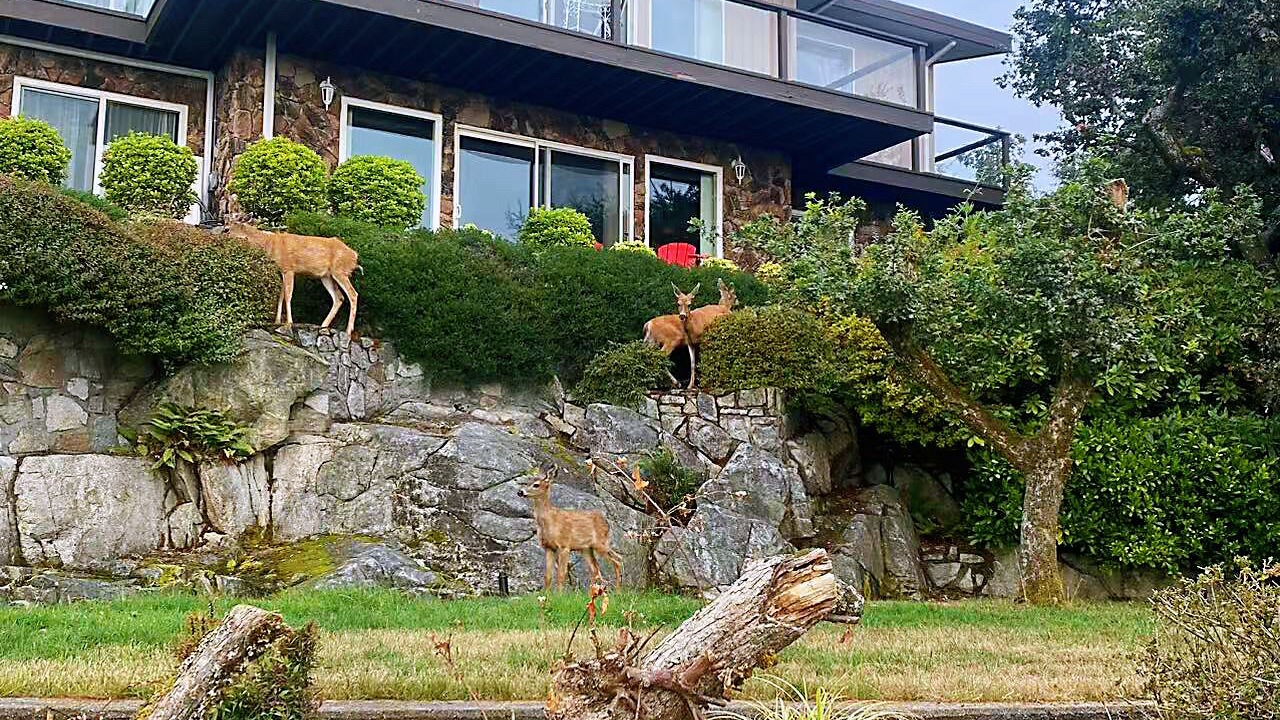 Photo of Outdoor in Regional District of Nanaimo