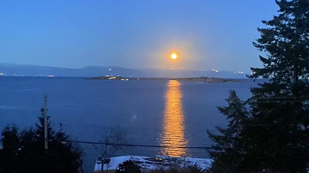 Photo of Others in Regional District of Nanaimo