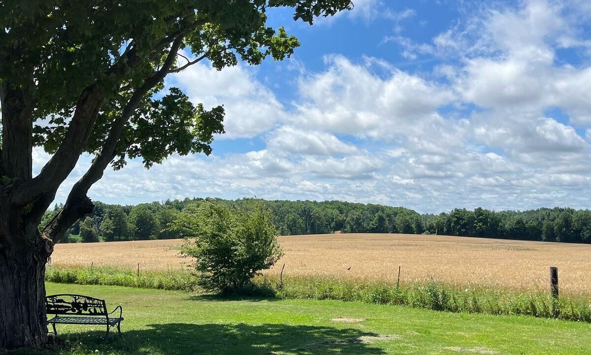 Photo of Others in Bradford West Gwillimbury