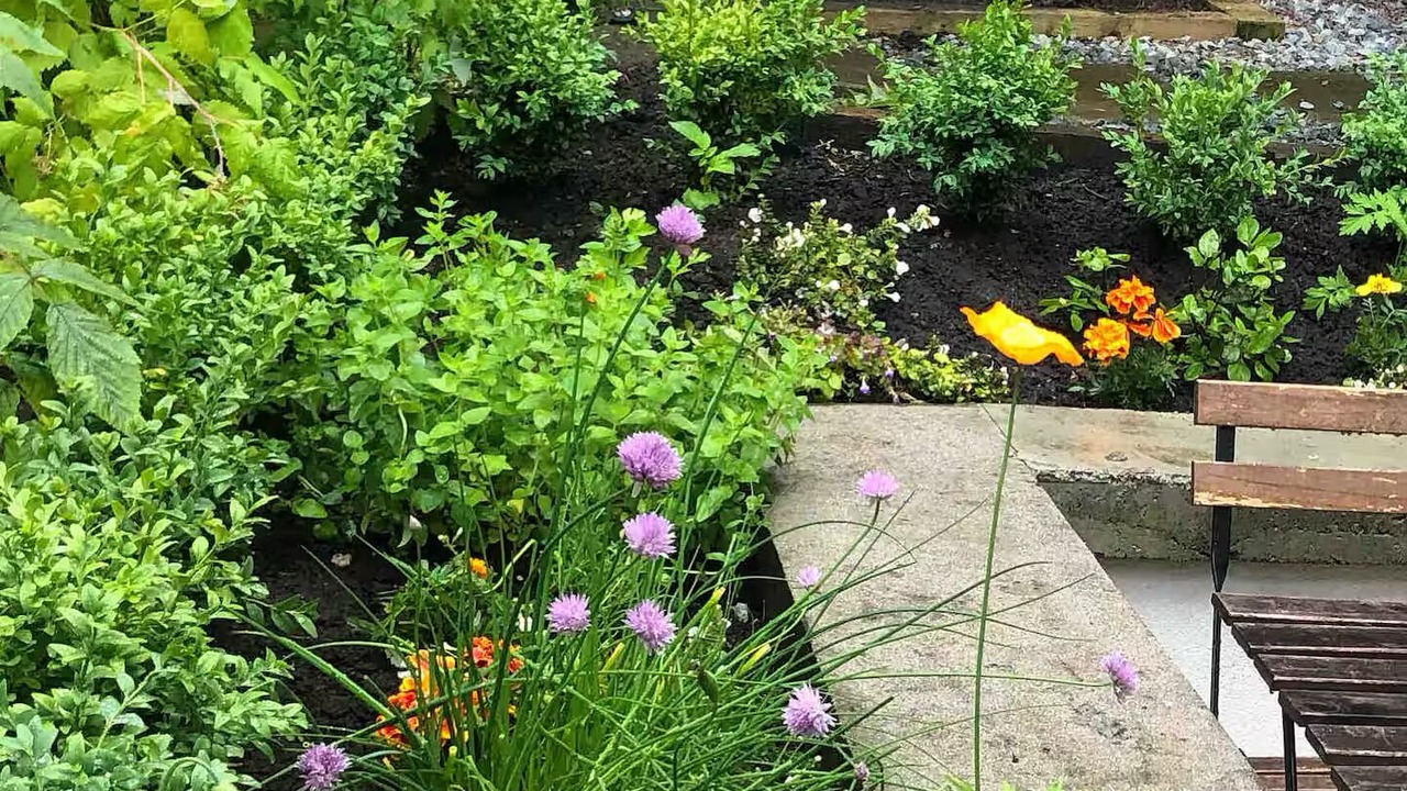 Photo of Outdoor in Shaughnessy