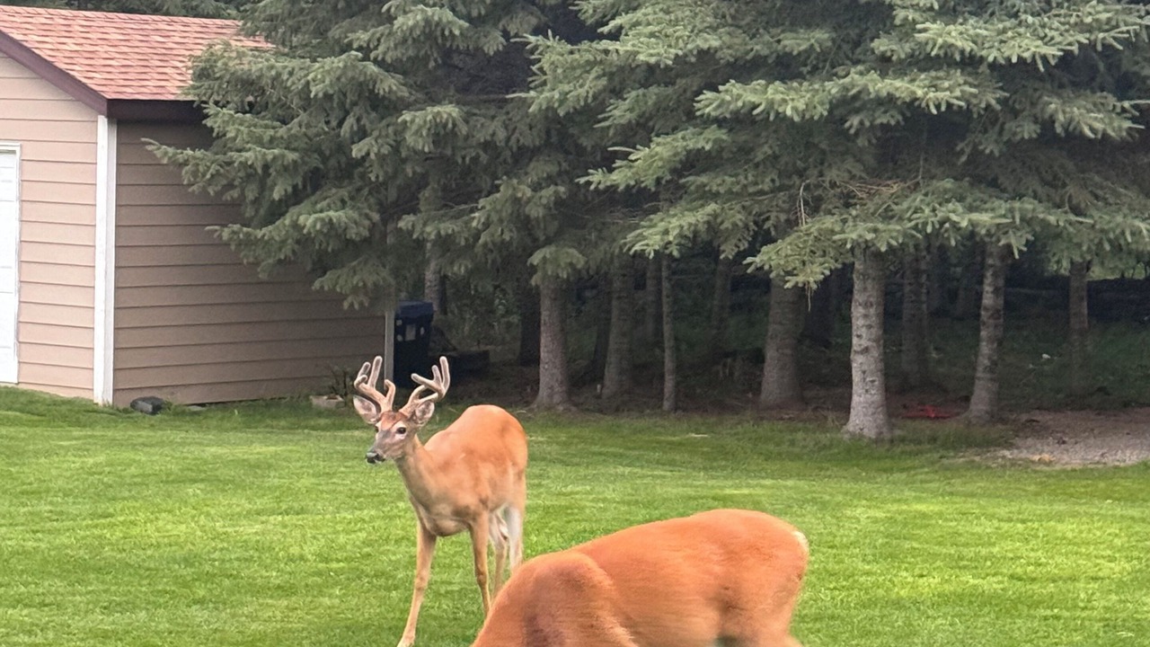 Photo of Outdoor in Candle Lake
