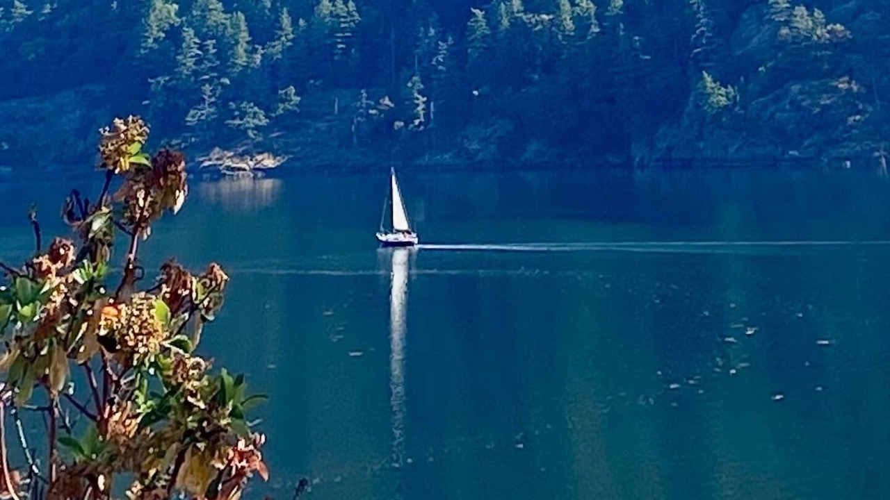 Photo of Others in Juan de Fuca Electoral Area