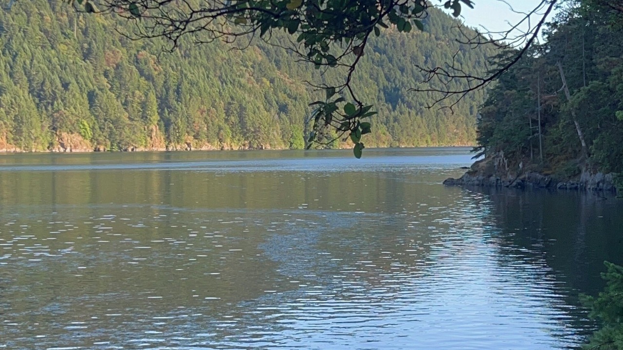 Photo of Others in Juan de Fuca Electoral Area