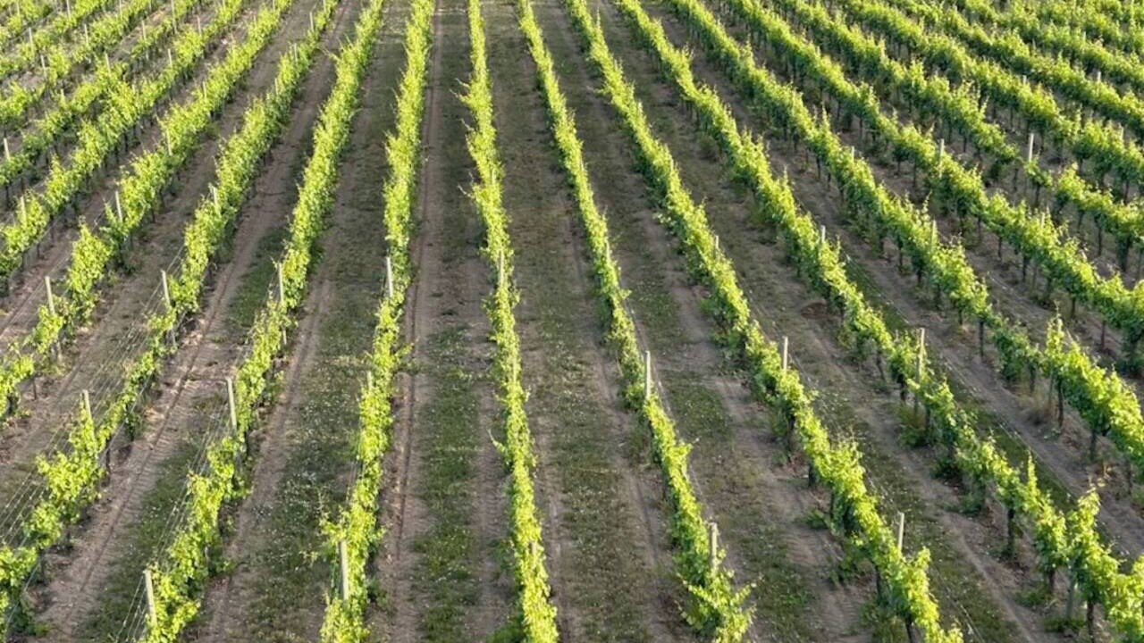 Photo of Others in Central Okanagan
