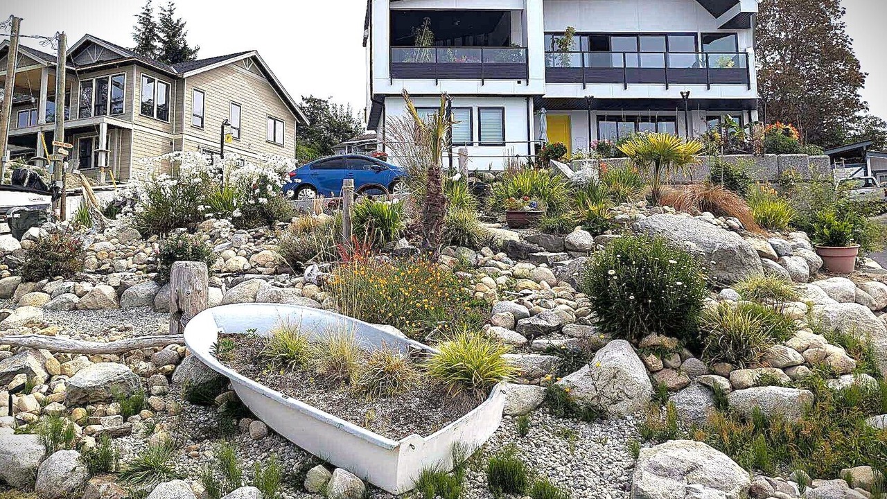 Photo of Outdoor in Davis Bay