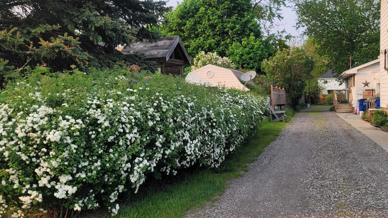 Photo of Outdoor in Chatham-Kent