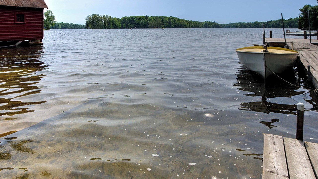 Photo of Others in Frontenac