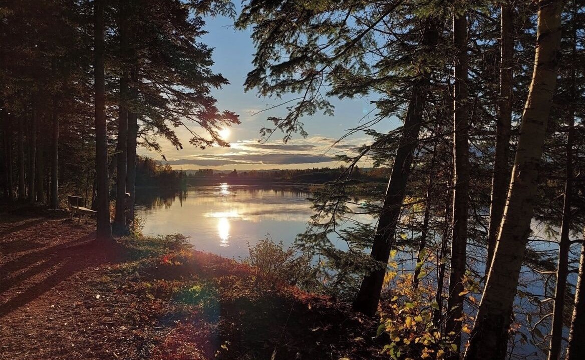 Photo of Others in Deer Lake