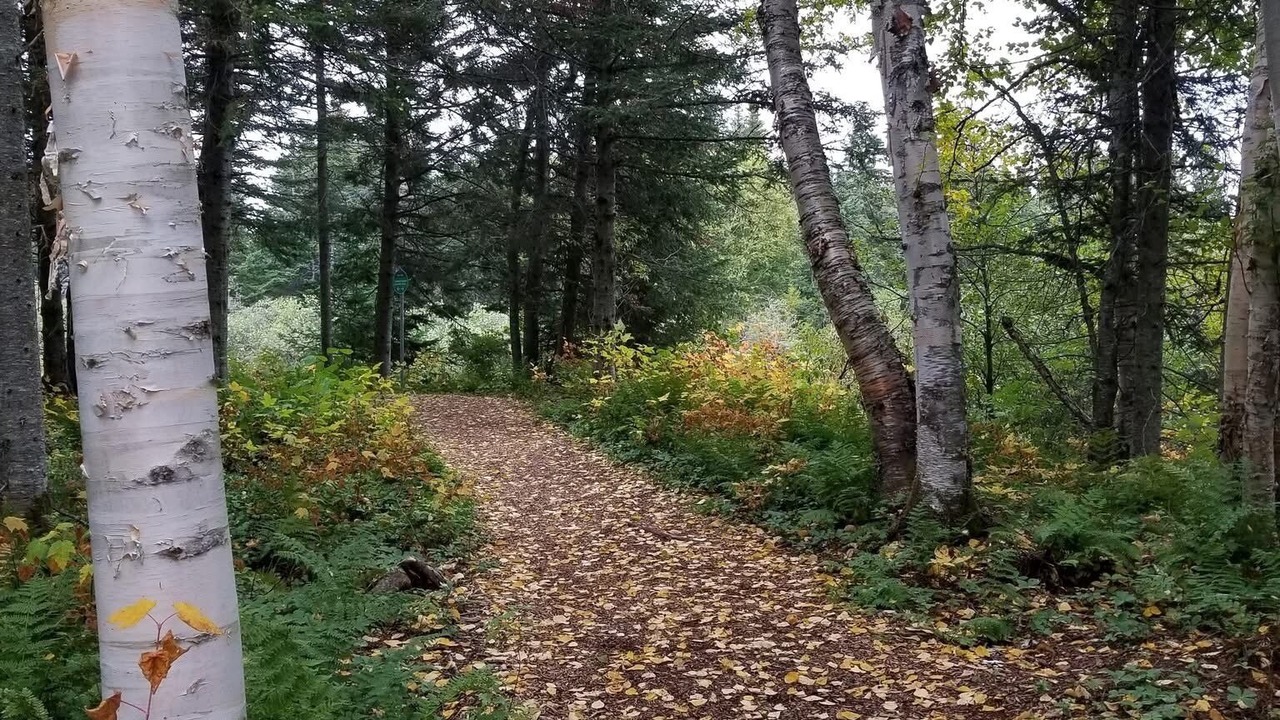 Photo of Others in Deer Lake