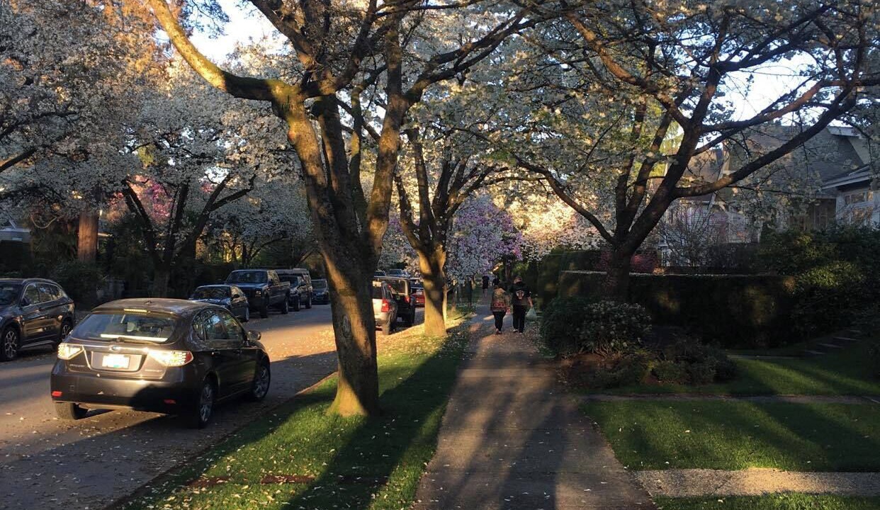 Photo of Others in Kitsilano