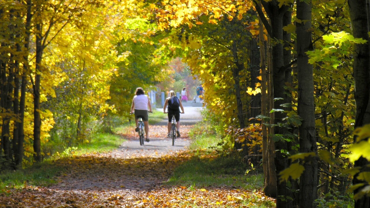 Photo of Others in Elora