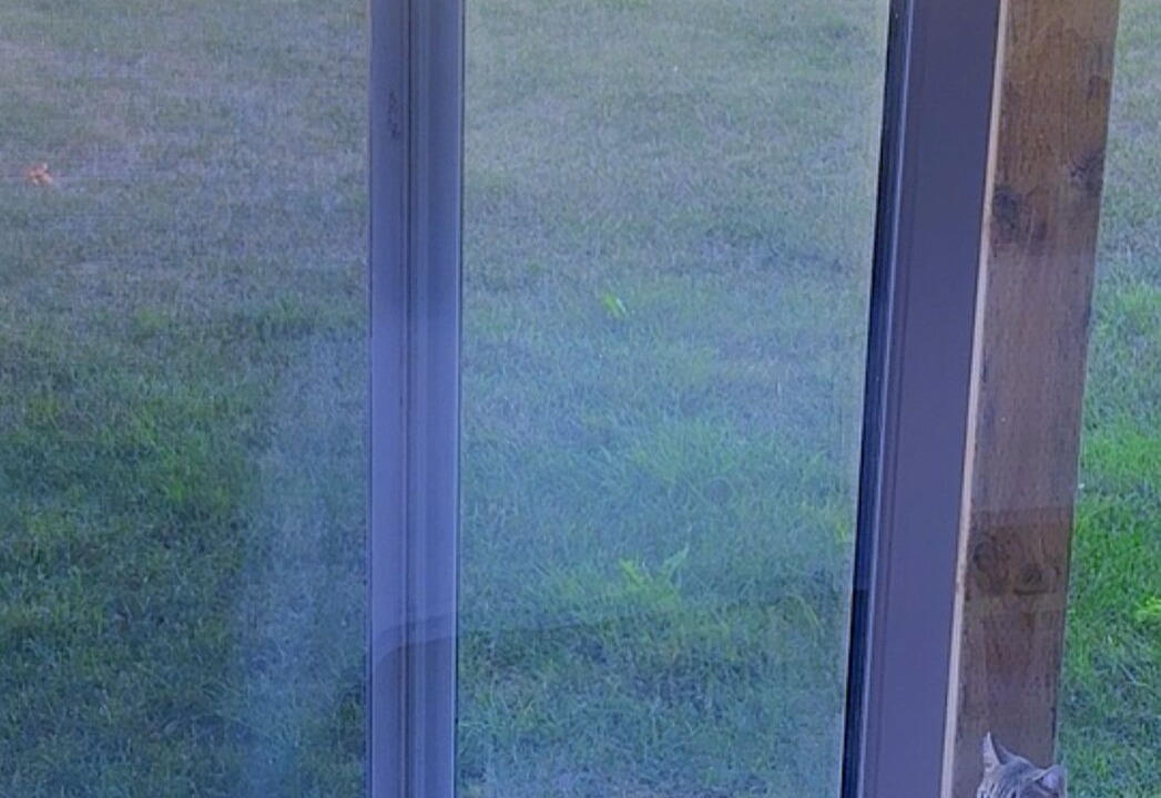 Photo of Others in Durham Region