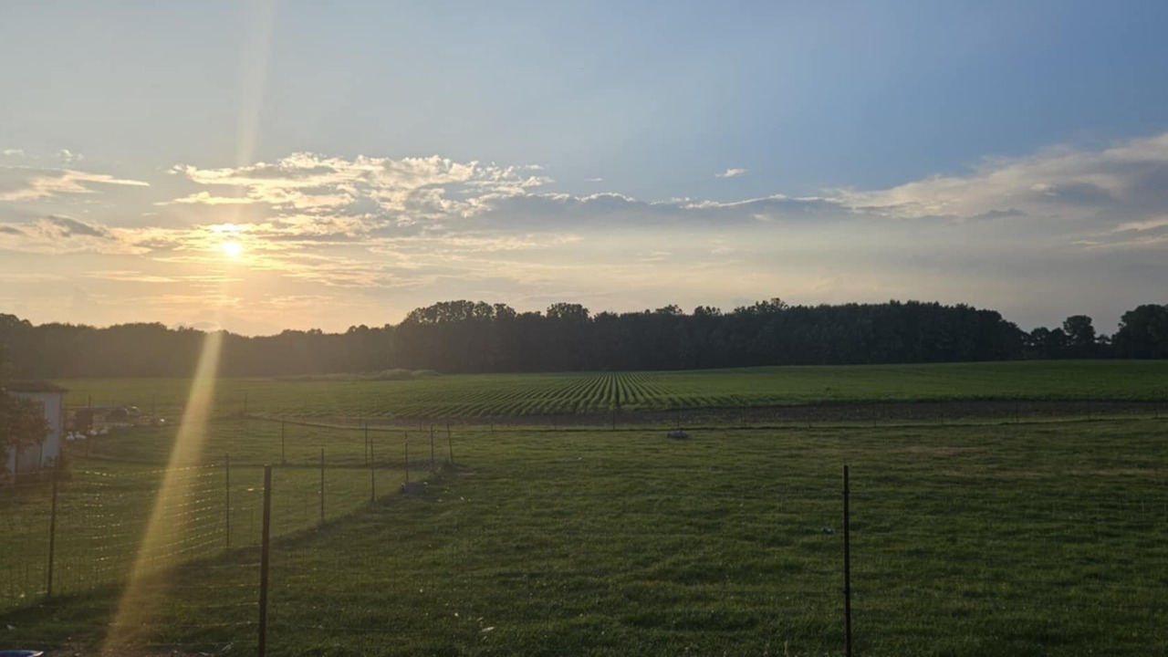 Photo of Others in West Elgin