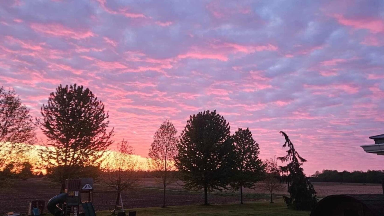 Photo of Others in West Elgin