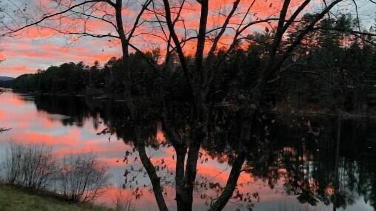 Photo of Others in Lac-du-Cerf