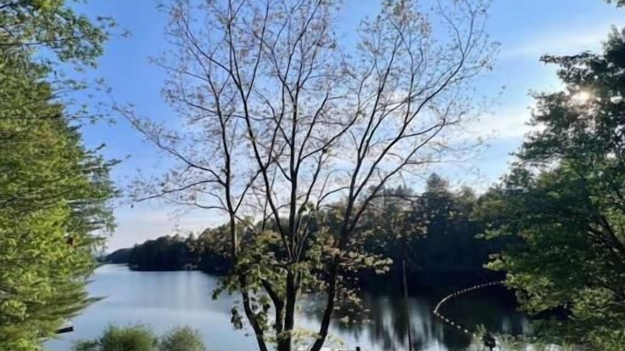 Photo of Others in Lac-du-Cerf