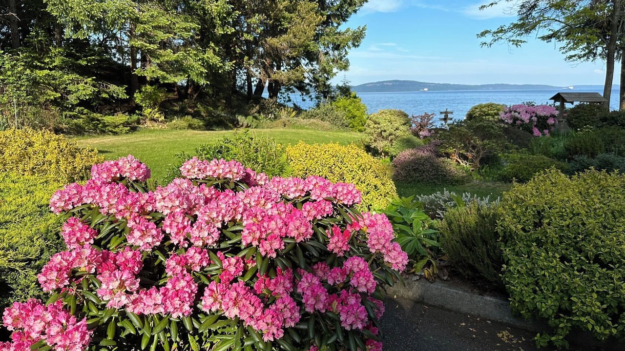 Photo of Outdoor in Regional District of Nanaimo