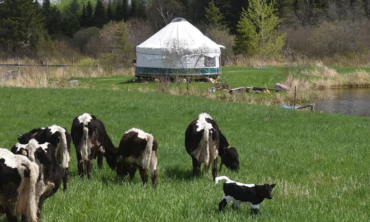 Photo of Others in Powassan