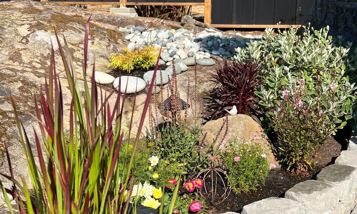 Photo of Outdoor in Otter Point