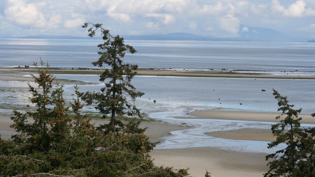 Photo of Others in Courtenay