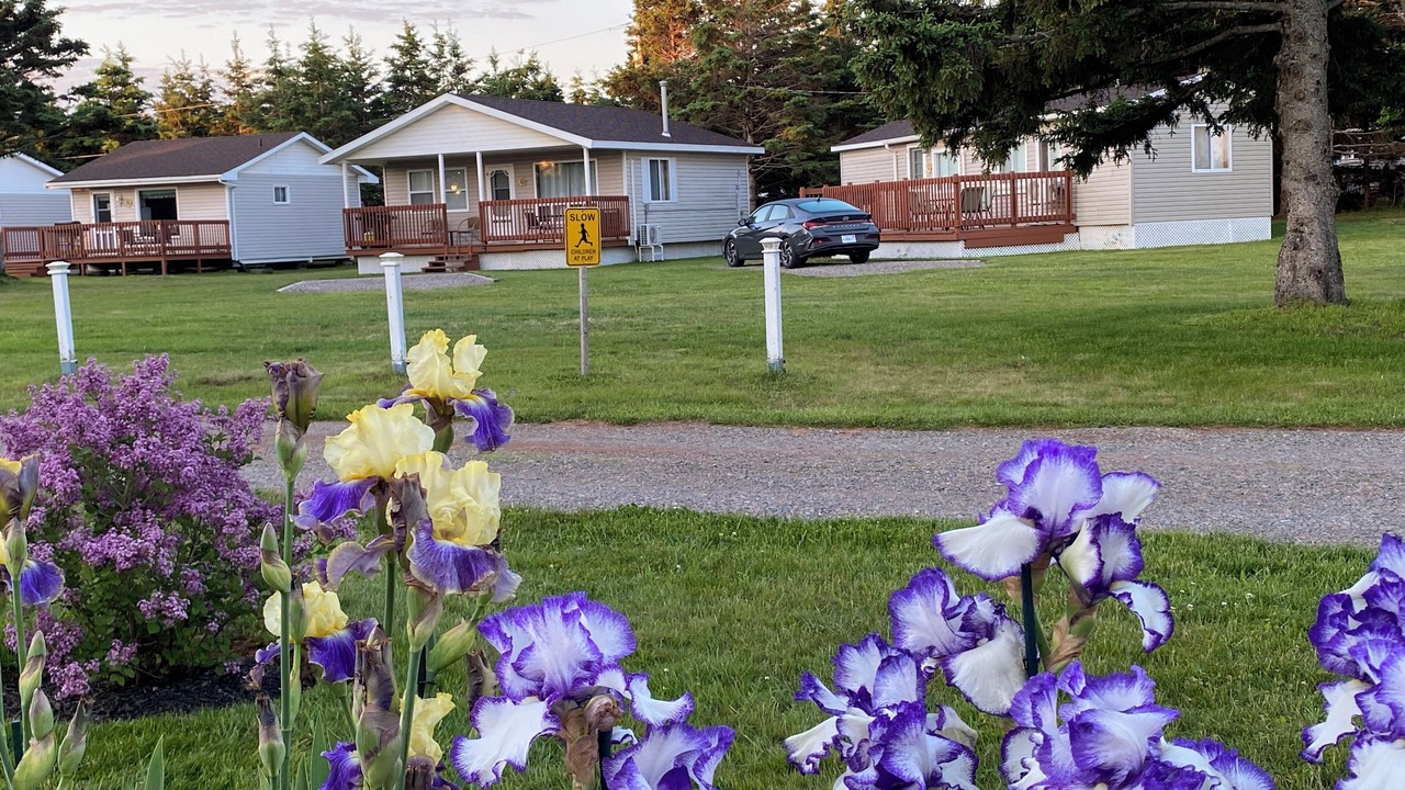 Photo of Outdoor in Stanhope