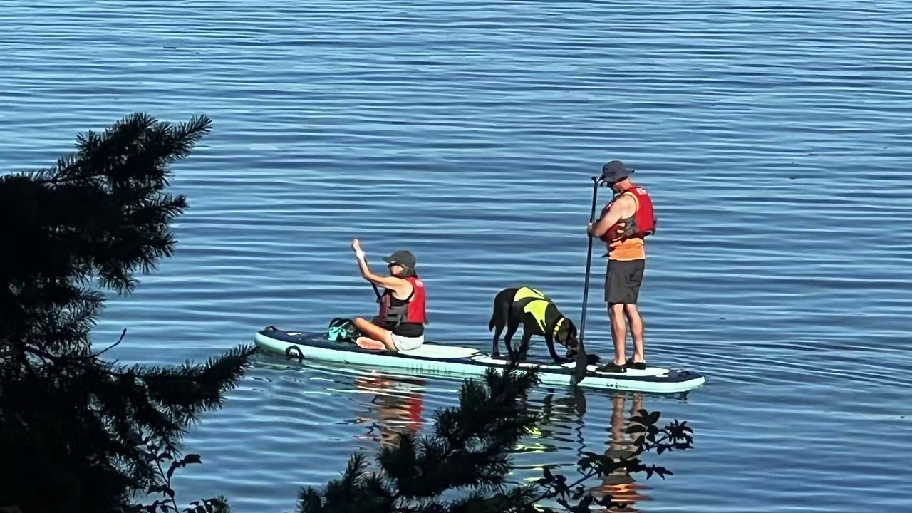 Photo of Others in Yellow Point