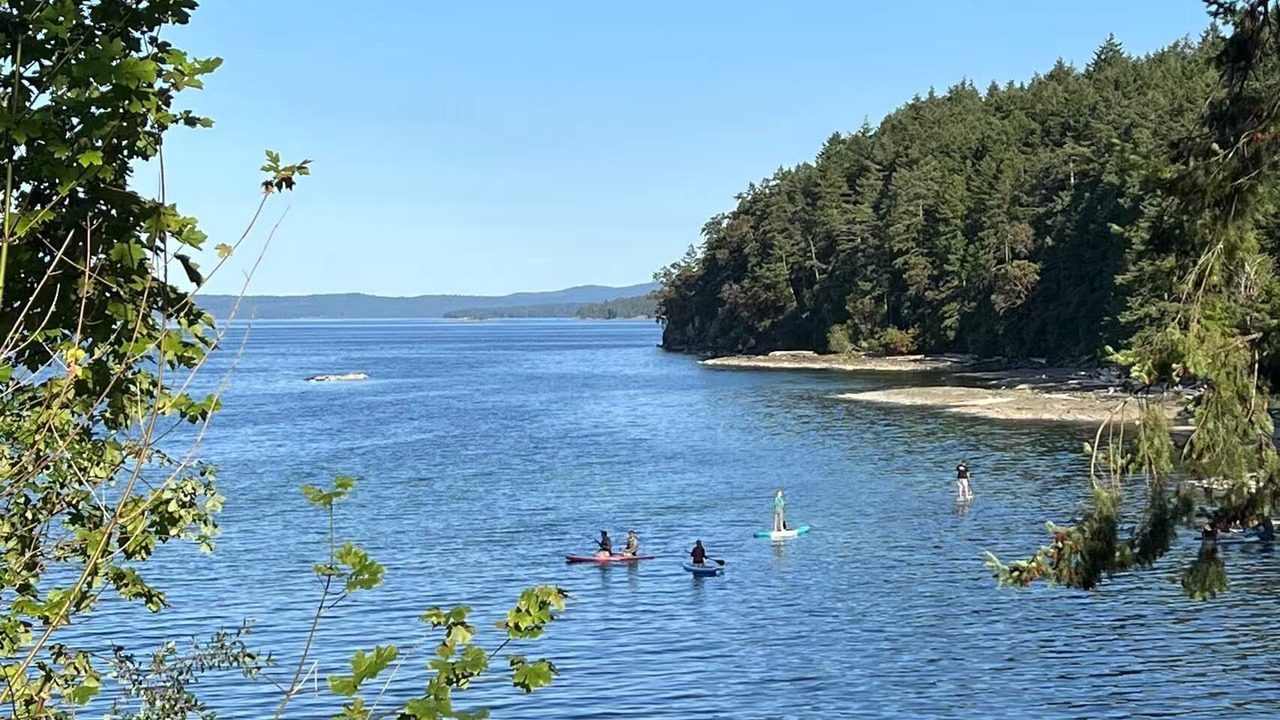 Photo of Others in Yellow Point
