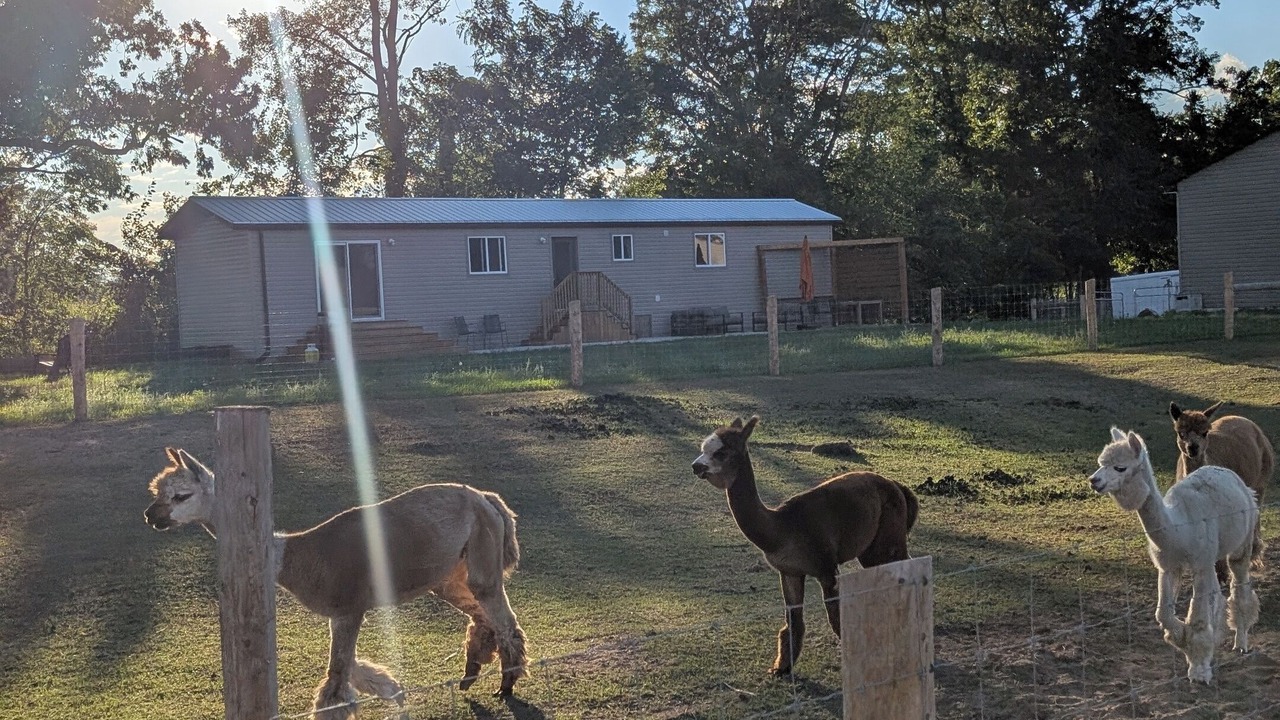 Photo of Outdoor in Courtland