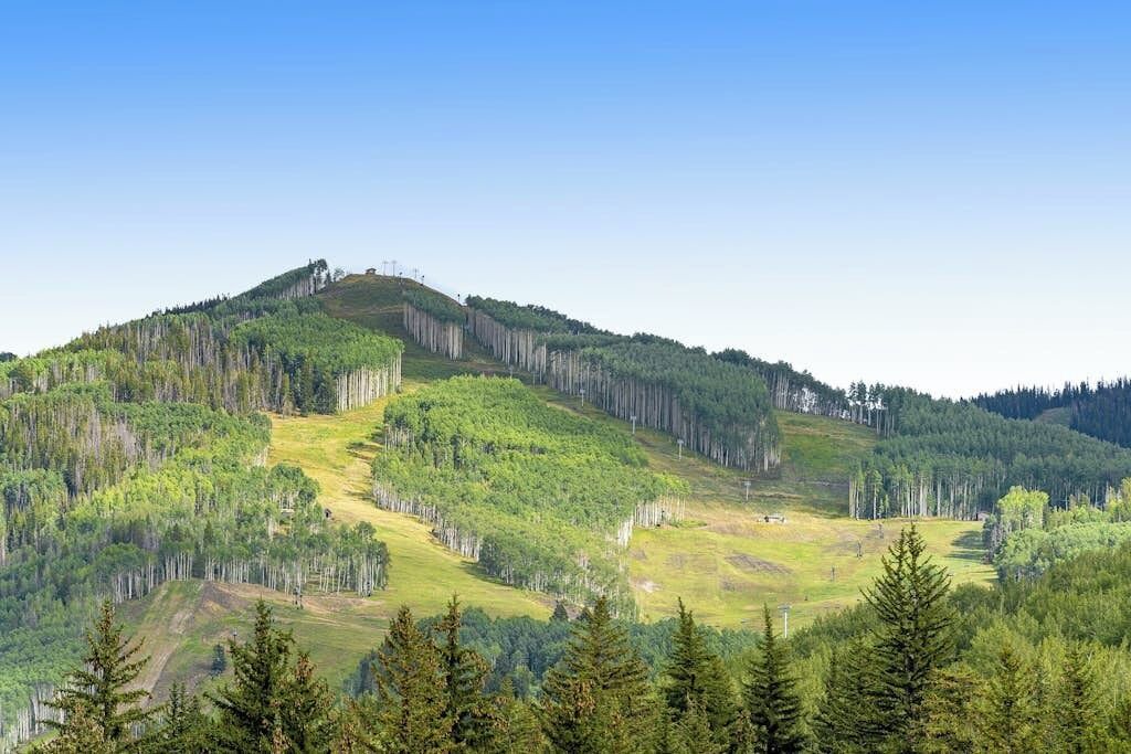 Photo of Others in Vail