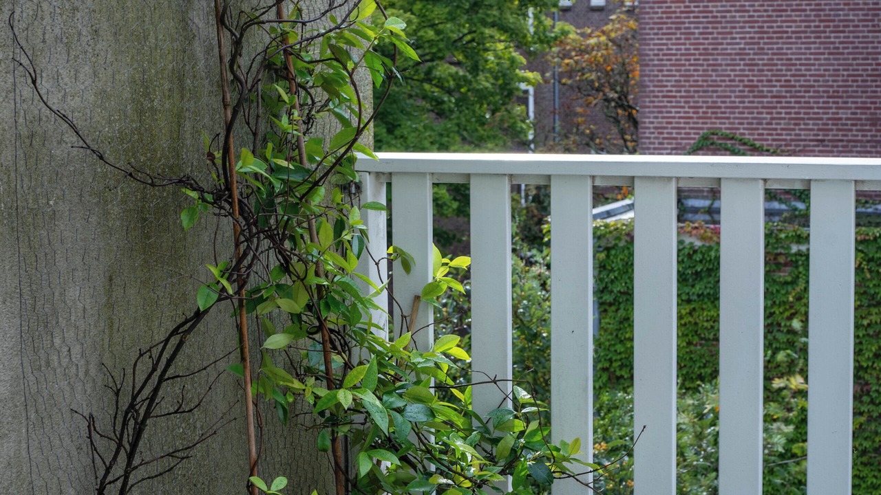 Photo of Outdoor in Overtoomse Sluis