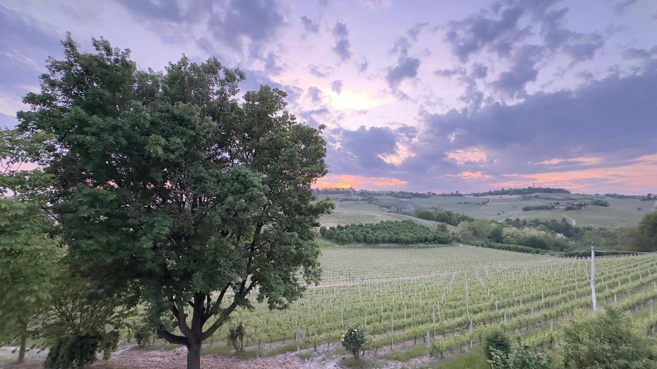 Photo of Others in Monforte d'Alba