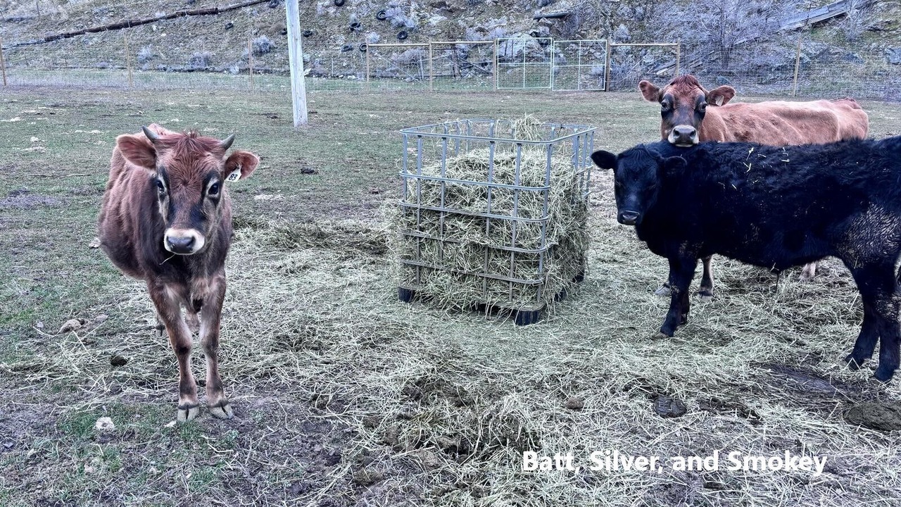 Photo of Others in Okanagan-Similkameen