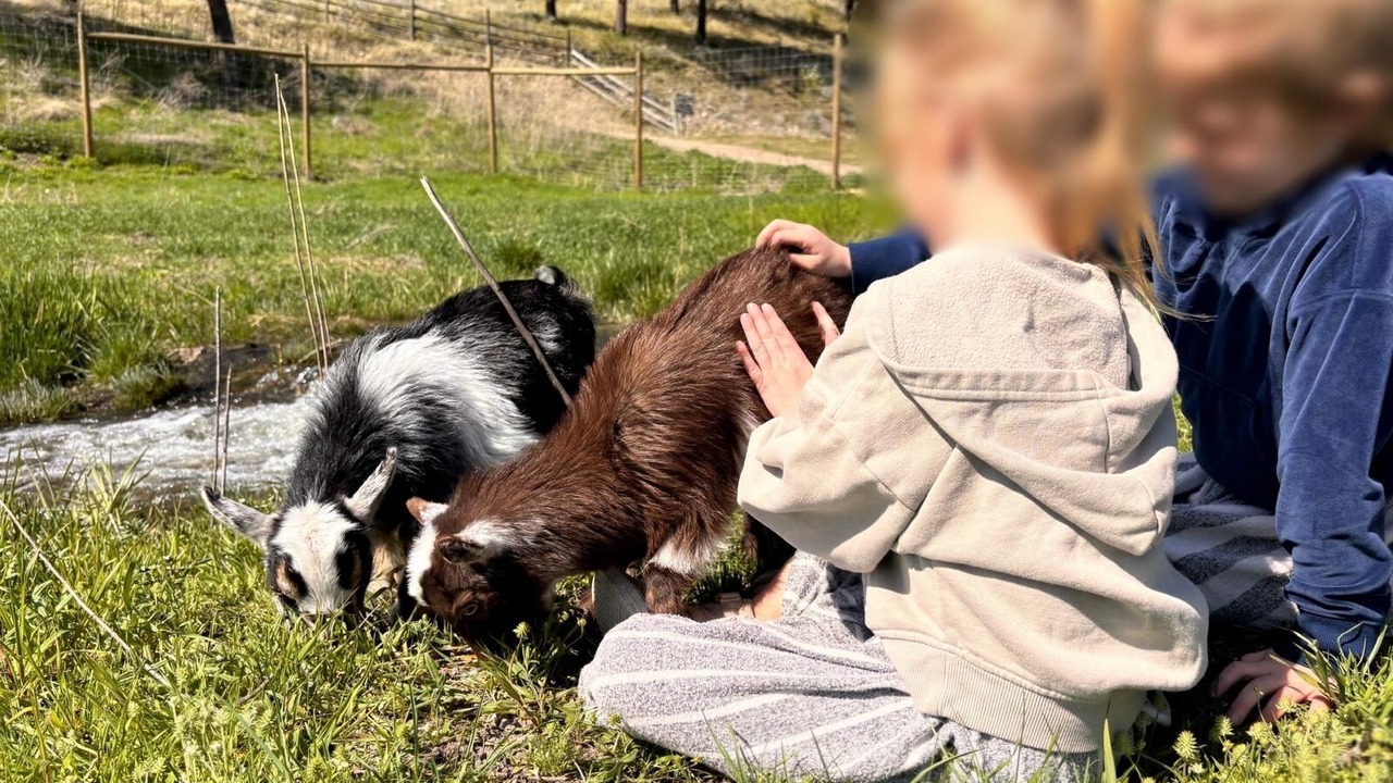 Photo of Others in Okanagan-Similkameen