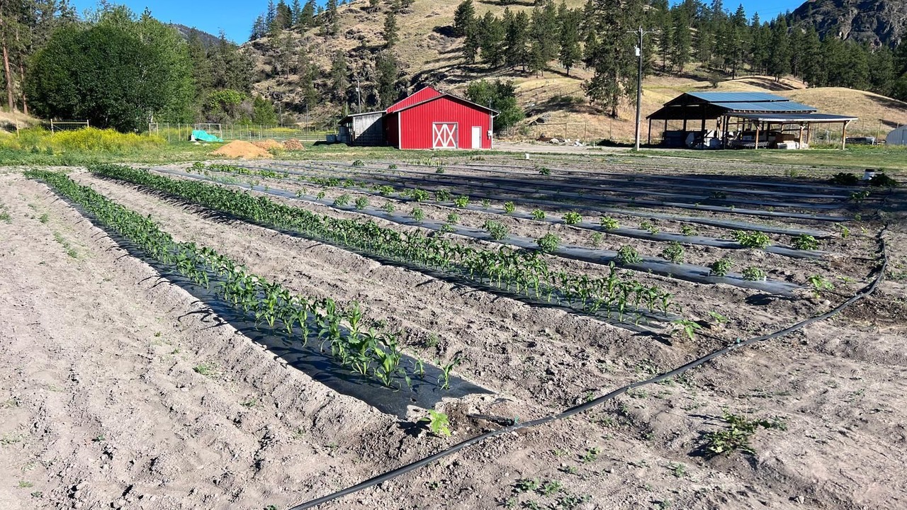 Photo of Outdoor in Okanagan-Similkameen
