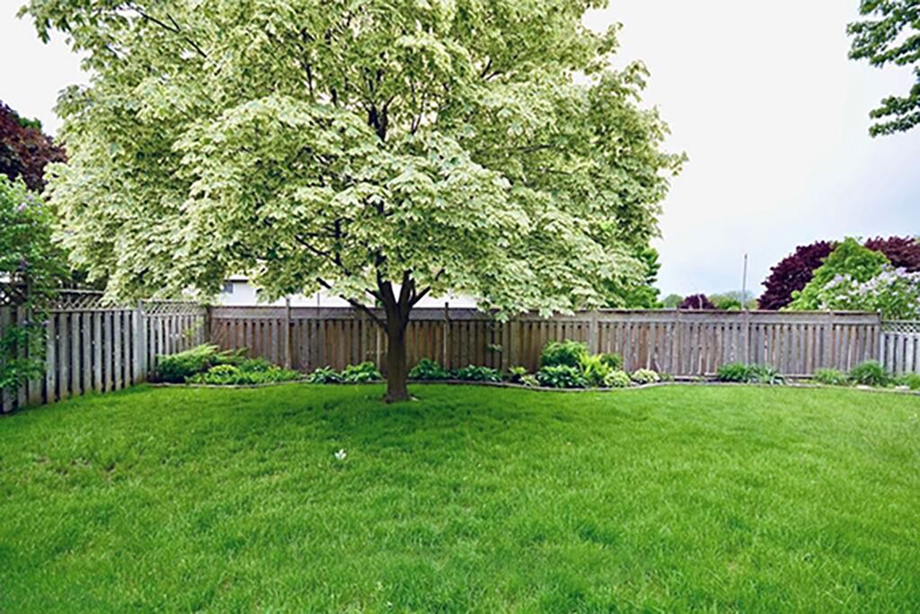 Photo of Outdoor in Barrie