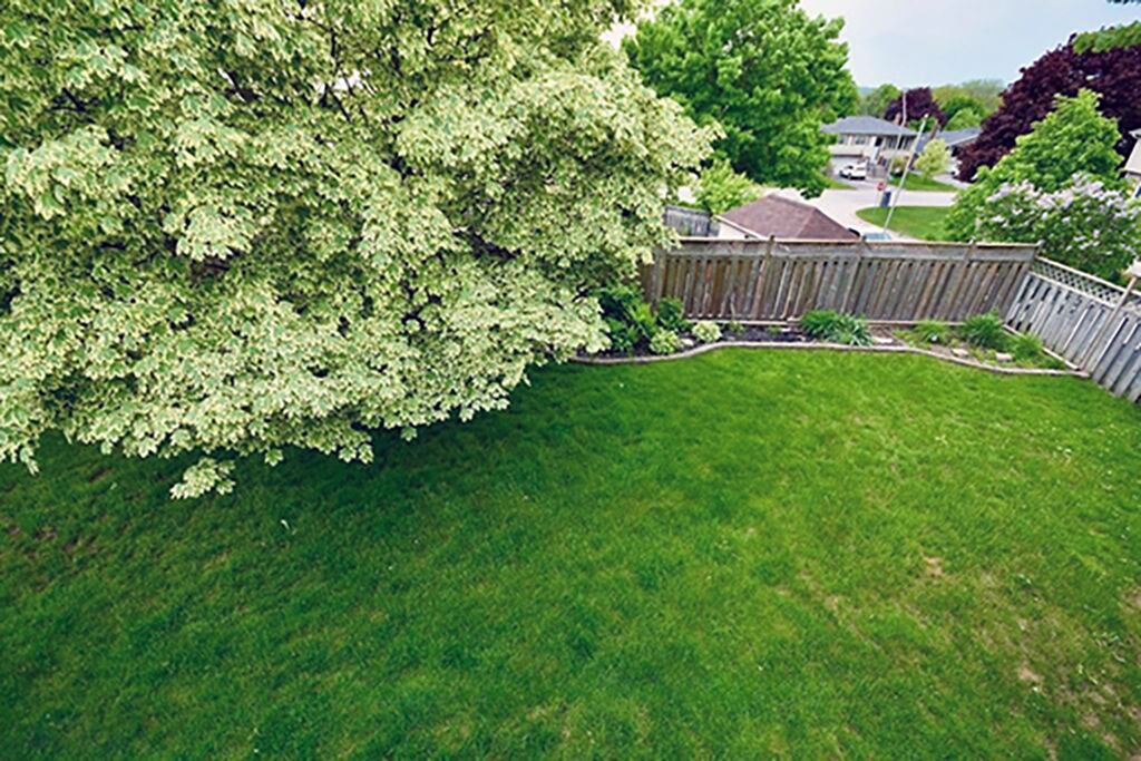 Photo of Outdoor in Barrie