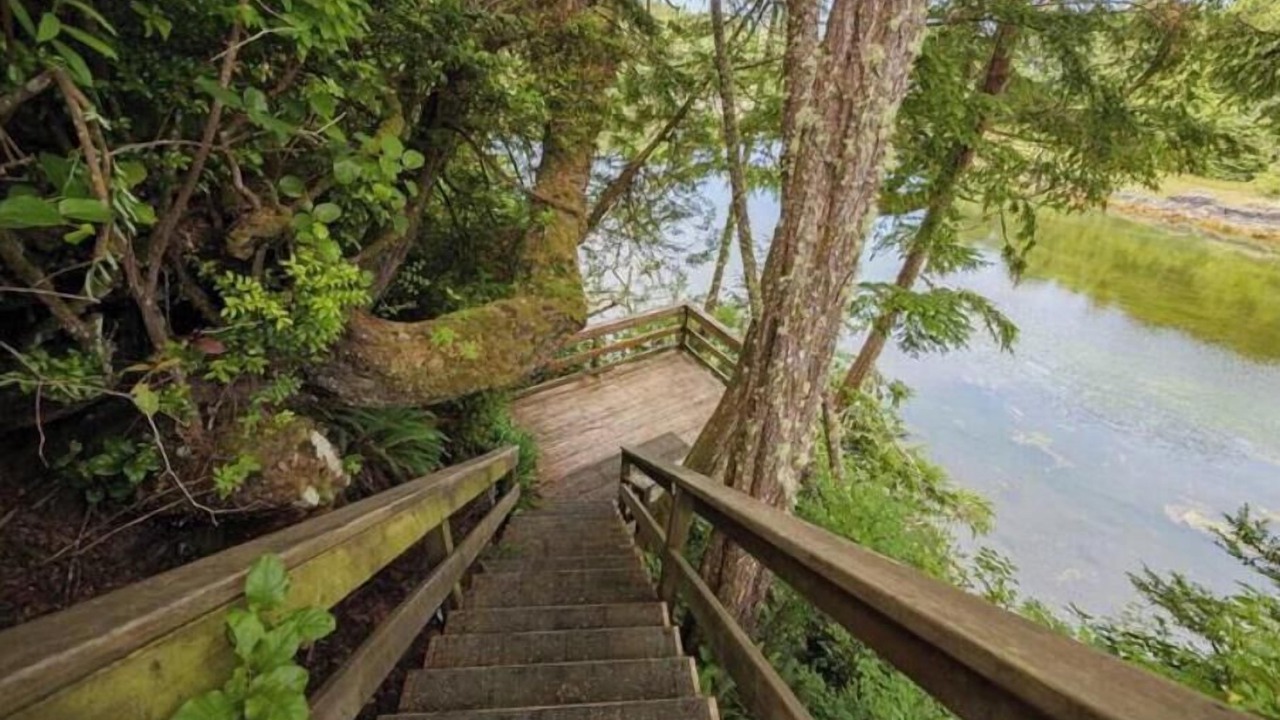 Photo of Outdoor in Ucluelet