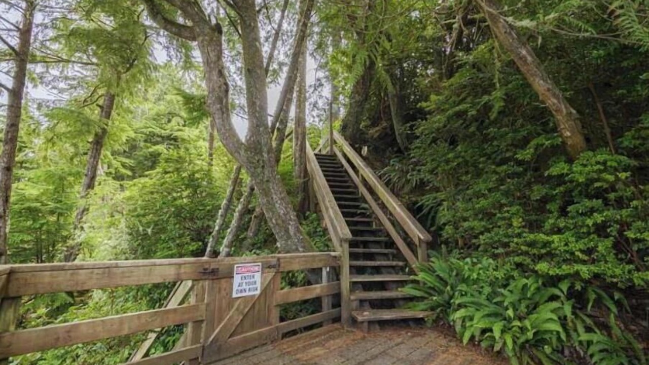 Photo of Outdoor in Ucluelet