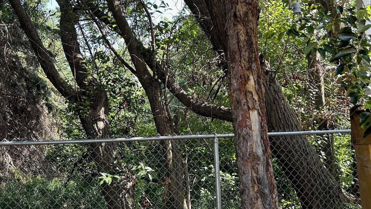 Photo of Outdoor in Markerville