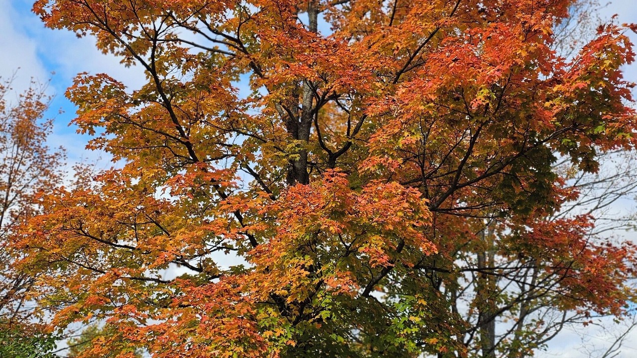 Photo of Others in Madawaska
