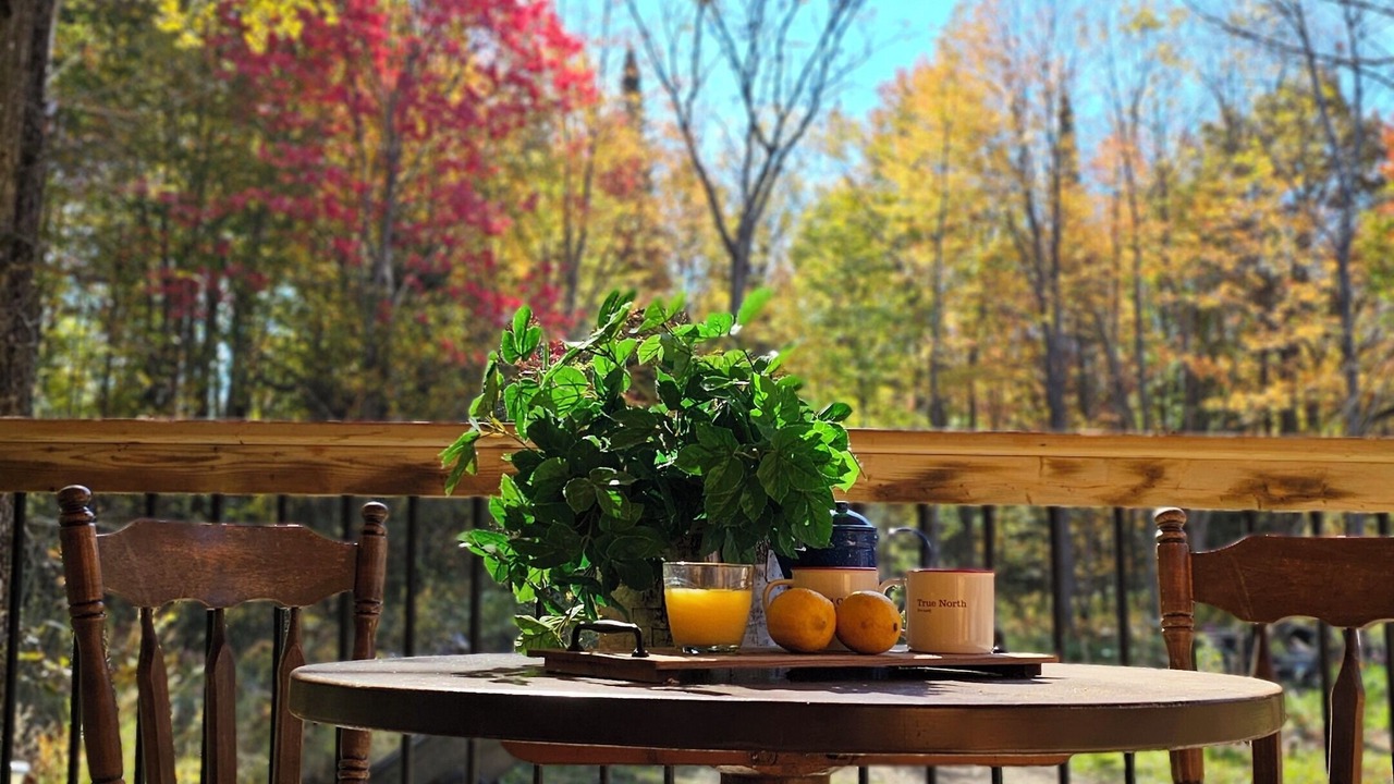 Photo of Outdoor in Madawaska