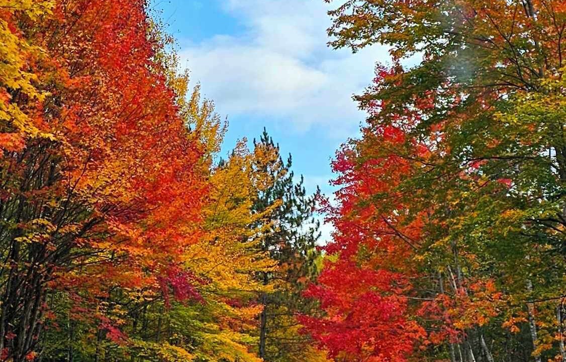 Photo of Others in Madawaska