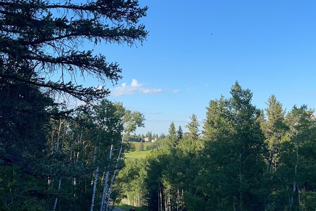 Photo of Outdoor in Southwest Calgary
