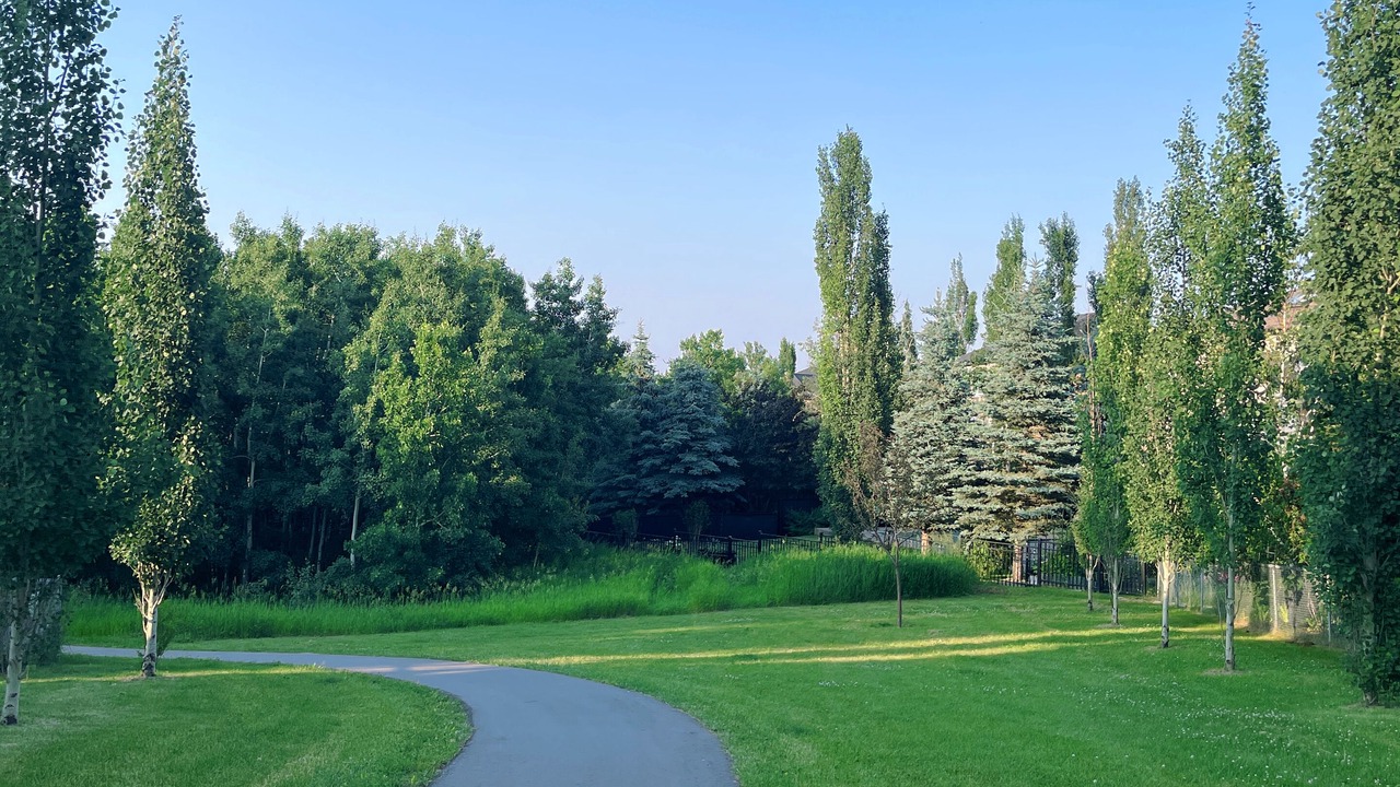 Photo of Others in Southwest Calgary
