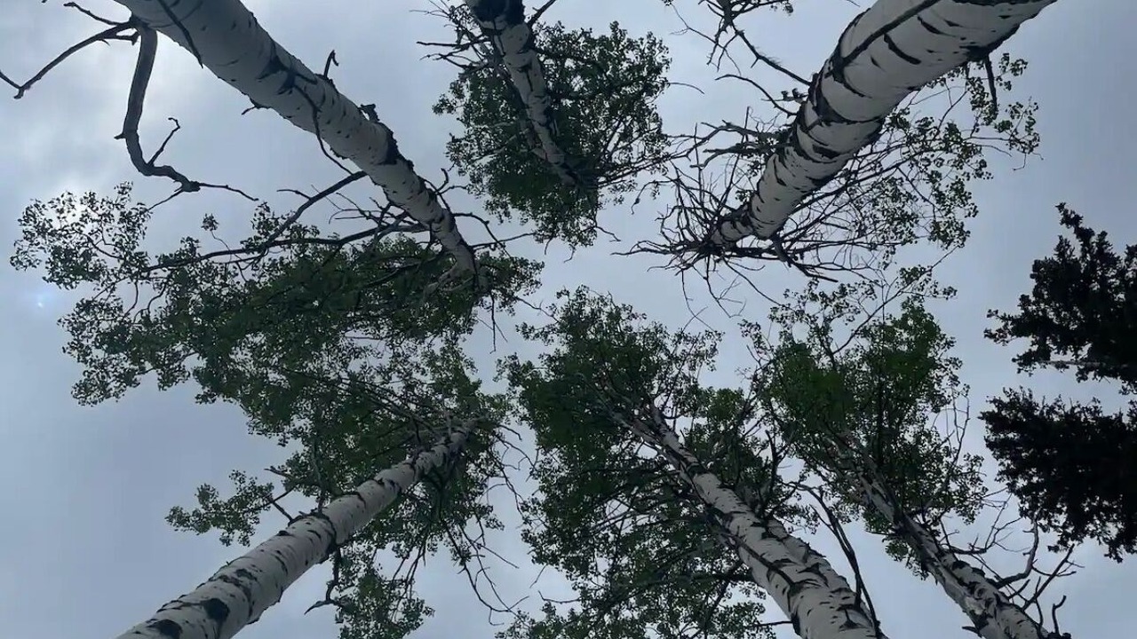 Photo of Others in Logan Lake