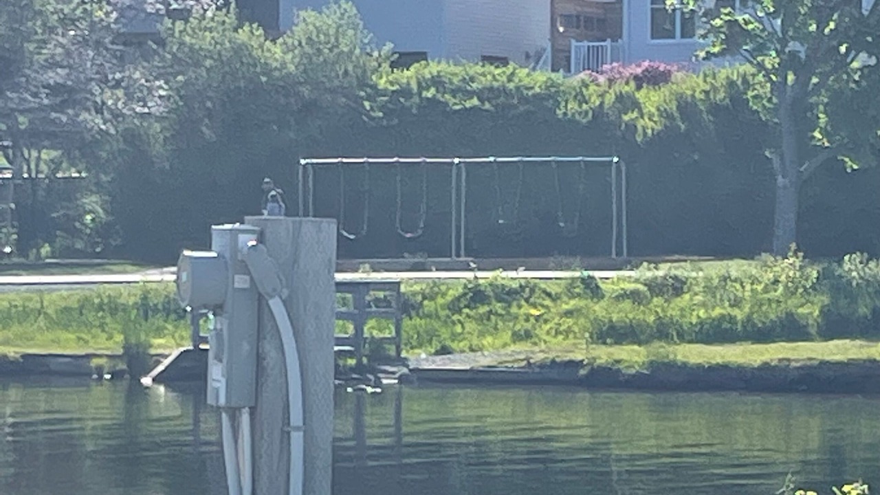 Photo of Outdoor in Dartmouth